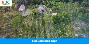 Phủ Xanh Đồi Trọc - KJC Chung Tay Vì Môi Trường Bền Vững 