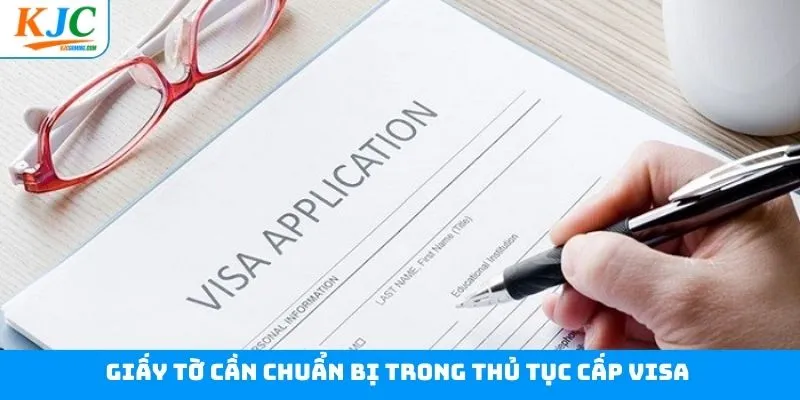 Hồ sơ cơ bản khi thực hiện xin visa xuất nhập cảnh