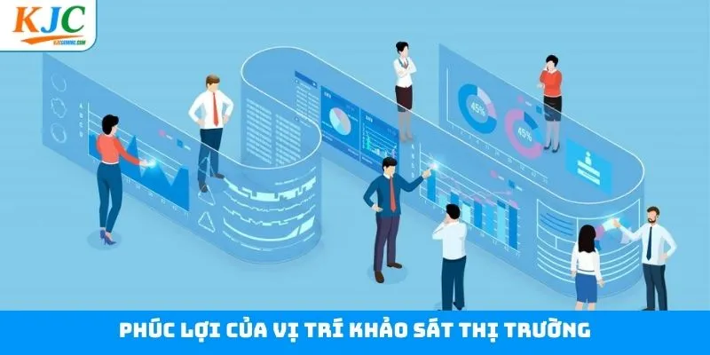 Các quyền lợi hấp dẫn từ khảo sát thị trường