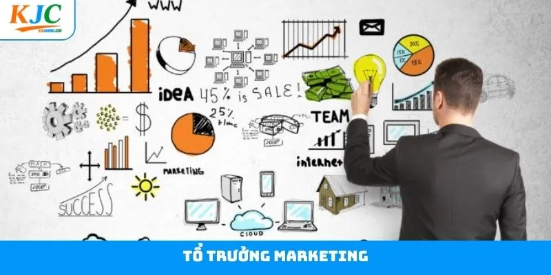Tổ Trưởng Marketing KJC: Cơ Hội Khẳng Định Tài Năng Lãnh Đạo